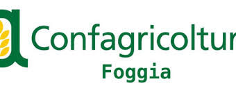 Giansanti a Foggia: “La mia visita a una grande organizzazione”