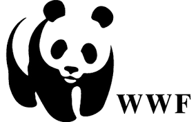 Parco del Gargano, il WWF Foggia: “Il Piano per rilanciare l’area protetta”