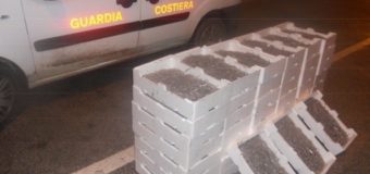 Manfredonia: maxi sequestro di bianchetto da parte della Guardia Costiera