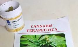 Cannabis terapeutica in Puglia, diritto alla cura tra legge, mito e realtà