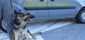 Operazione Exodus, traffico di droga nel carcere di Foggia: arresti in Puglia