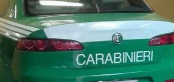 Emergenza incendi: sul Gargano si rafforza il servizio dei Carabinieri Forestali