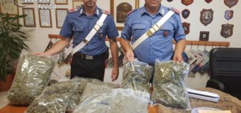 TRINITAPOLI. Viaggiava con oltre 5 kg. di marijuana in auto, arrestato!